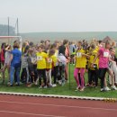 sztaf 15